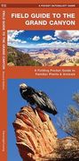 Field Guide to the Grand Canyon: A Folding Pocket Guide to Familiar Plants and Animals (Pocket Naturalist Guide)