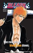 Bleach Official Character Book Volume 1: Souls. (Bleach Souls. Official Character Book) (en Inglés)