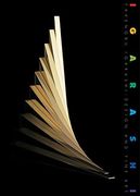 Takenobu Igarashi: Design And Fine Art (en Inglés)