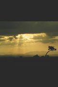 The Land Where the Quetzal Flies: English, Spanish & Bosnian Translations (en Inglés)