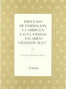 Procesos de formacion y cambio en las llamadas "palabras gramaticales"