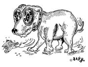 destroy all monsters (en Inglés)