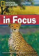 cheetahs in focus 2200 ame book w/cd