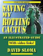Saving My Rotting Cactus (en Inglés)