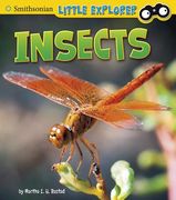 Insects (en Inglés)
