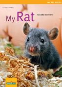 My Rat (en Inglés)