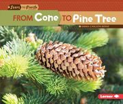 From Cone to Pine Tree (en Inglés)