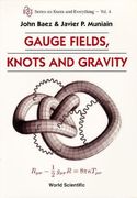 Gauge Fields, Knots and Gravity: Vol 1 (Series on Knots & Everything) (en Inglés)