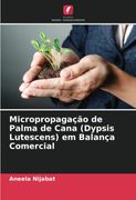 Micropropagação de Palma de Cana (Dypsis Lutescens) em Balança Comercial