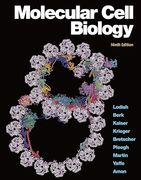 Molecular Cell Biology