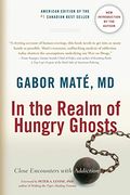 In the Realm of Hungry Ghosts: Close Encounters With Addiction