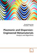 plasmonic and dispersion-engineered metamaterials