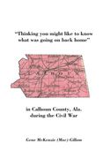 Thinking You Might Like to Know What Was Going on Back Home (en Inglés)