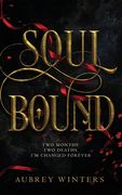 Soul Bound: The Shadow World Book 2 (en Inglés)