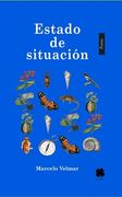 Estado de Situación