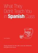 What They Didn'T Teach you in Spanish Class: Slang Phrases for the Cafe, Club, Bar, Bedroom, Ball Game and More (en Inglés)