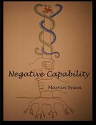 negative capability (en Inglés)