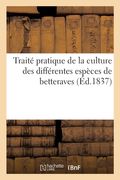 Traité Pratique de la Culture Des Différentes Espèces de Betterave: Procédé Pour Les Conserver Par La Dessication, Emploi de Cette Plante Pour La Fabr (en Francés)