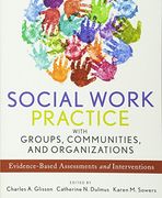 social work practice with groups, communities, and organizations