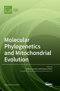 Molecular Phylogenetics and Mitochondrial Evolution (en Inglés)