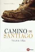 Camino de Santiago: Vía de la Plata