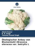 Ökologischer Anbau von Blumenkohl (en Alemán)