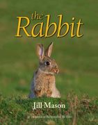 The Rabbit (en Inglés)