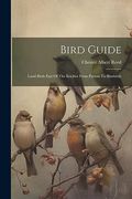 Bird Guide: Land Birds East of the Rockies From Parrots to Bluebirds