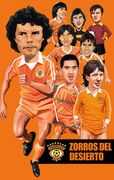 Zorros del desierto