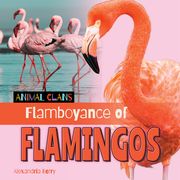 Flamboyance of Flamingos (en Inglés)