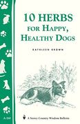 10 herbs for happy, healthy dogs