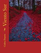 Viento Sur