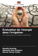 Évaluation de L'énergie Dans L'irrigation: Taux D'application de L'arrosage Conventionnel (in French)