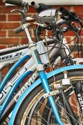 biking beauty (en Inglés)