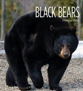Black Bears (Living Wild) 