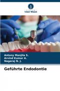 Geführte Endodontie (en ger)