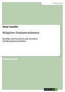 Religiöser Fundamentalismus: Konflikt und Gewalt in und Zwischen Glaubensgemeinschaften (en Alemán)
