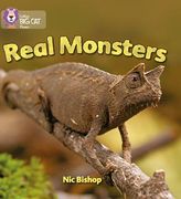 Real Monsters: Yellow / Band 3 (en Inglés)