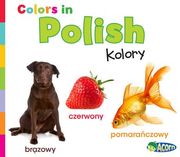 Colors in Polish: Kolory (in Polaco)