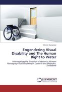 engendering visual disability and the human right to water (en Inglés)