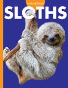 Curious about Sloths (en Inglés)