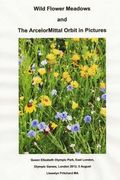 Wild Flower Meadows and the ArcelorMittal Orbit in Pictures: Olympic Legacy (en Hindi)