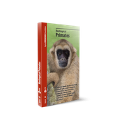 Neotropical Primates