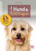 Ein Hund und 1000 Fragen; Basics für Frischgebackene Hundehalter; Deutsch
