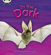 phonics bug in the dark phase 3 (en Inglés)