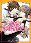 Junjo Romantica: 13