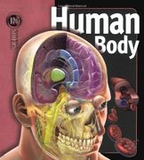 human body (en Inglés)