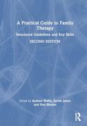 A Practical Guide to Family Therapy: Structured Guidelines and key Skills (en Inglés)