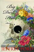 Big Dark Hole: And Other Stories (en Inglés)