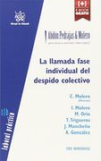 La Llamada Fase Individual del Despido Colectivo (Laboral Práctico Serie Monografías)
